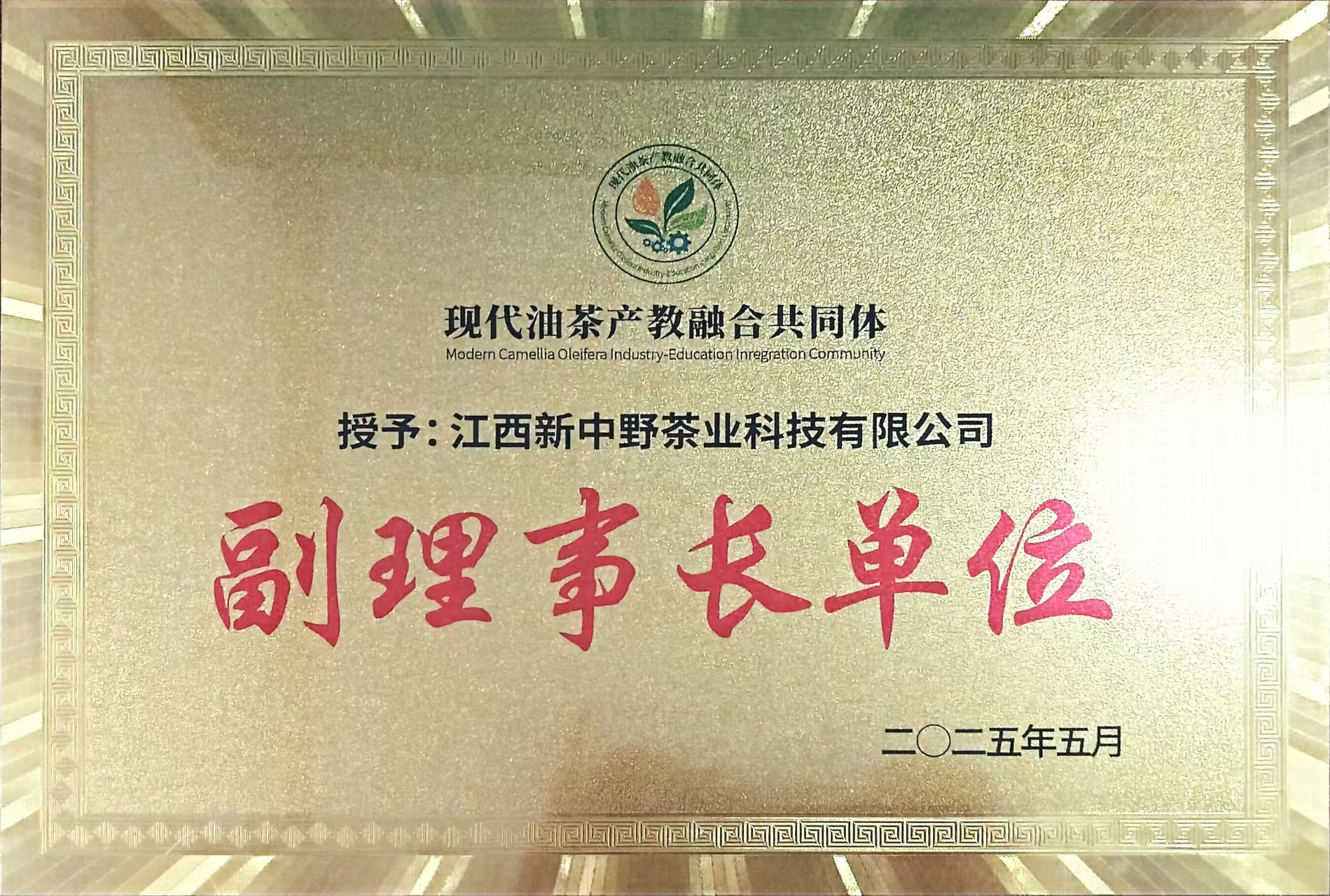全國油茶產業發展大會暨消費幫扶對接會